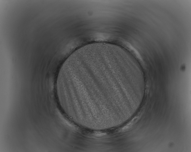 X0000094340257200711241859