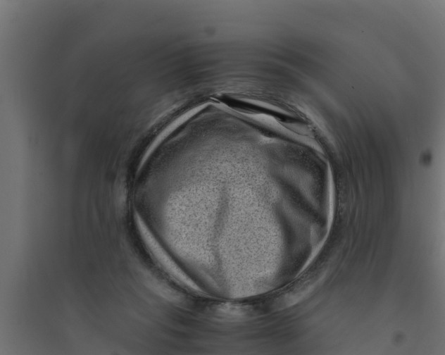 X0000094340261200711241859