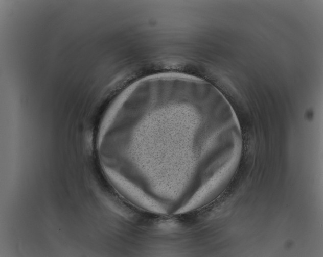 X0000094340262200711241859