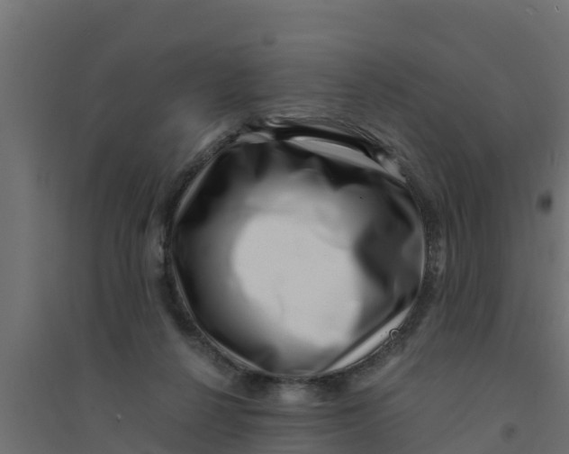 X0000094340264200711241859