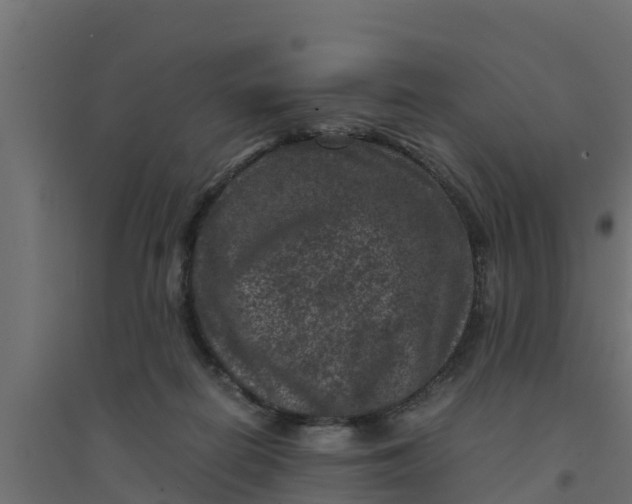 X0000094340266200711241859