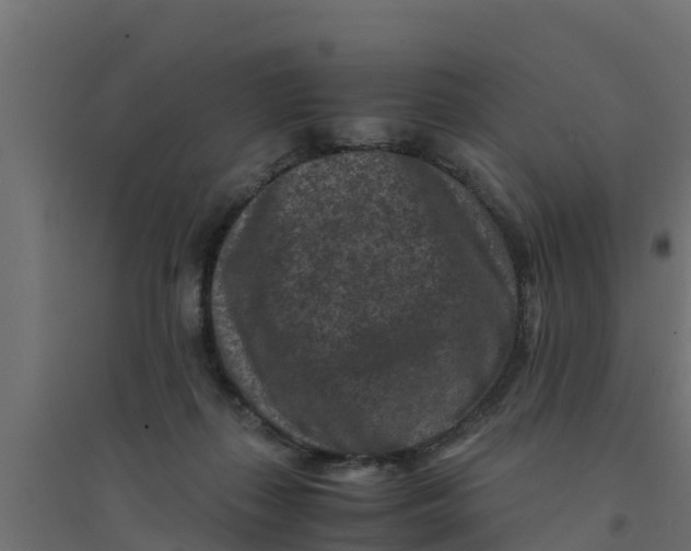 X0000094340267200711241859