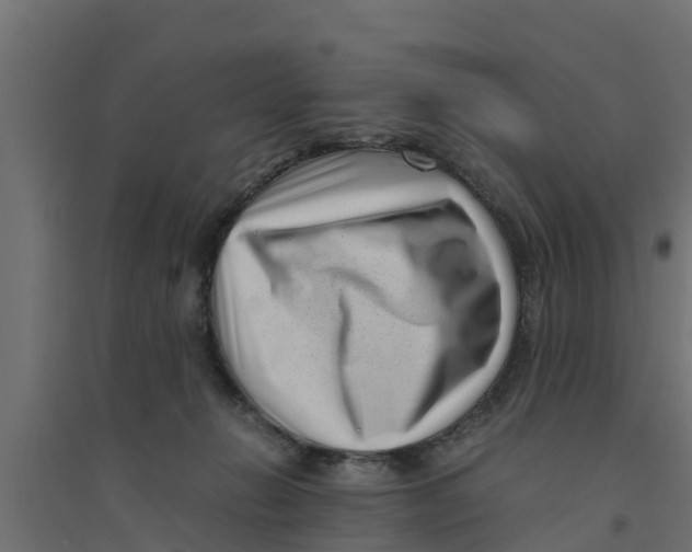 X0000094340270200711241859