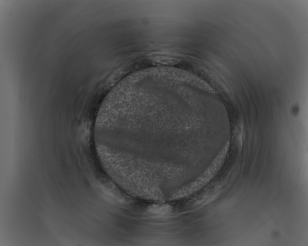 X0000094340271200711241859