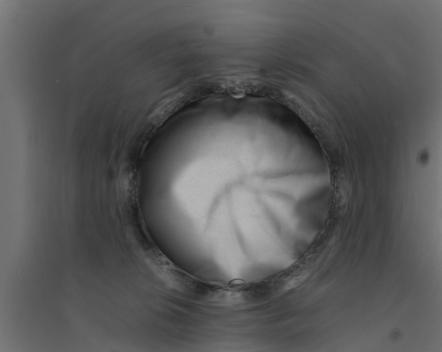 X0000094340276200711241859