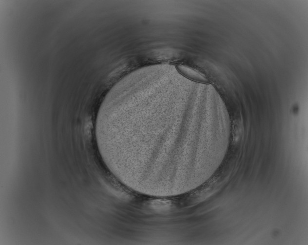 X0000094340279200711241859