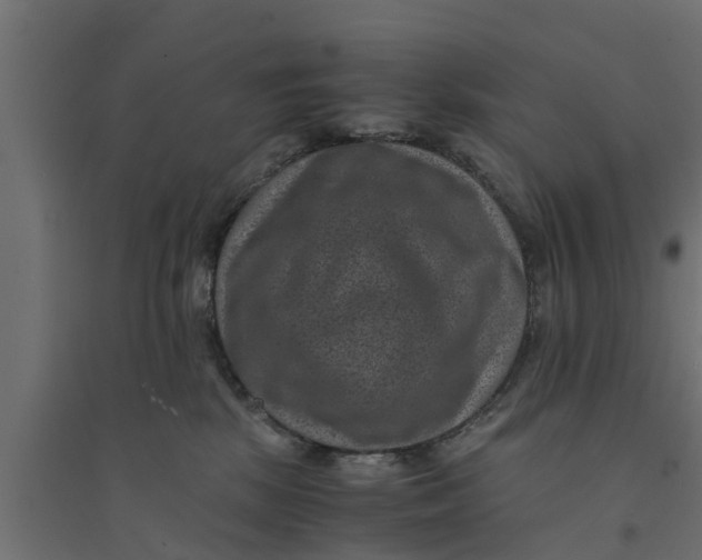 X0000094340281200711241859