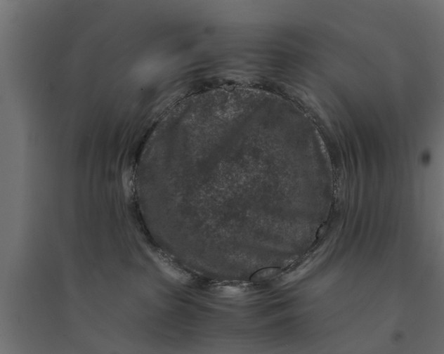 X0000094340285200711241859