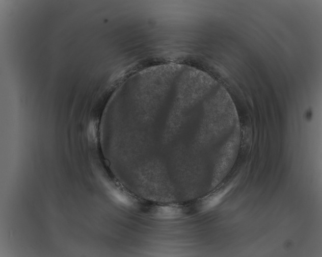 X0000094340286200711241859