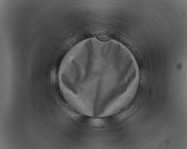 X0000094340287200711241859