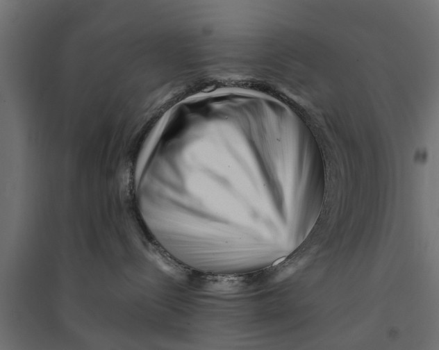 X0000094340288200711241859