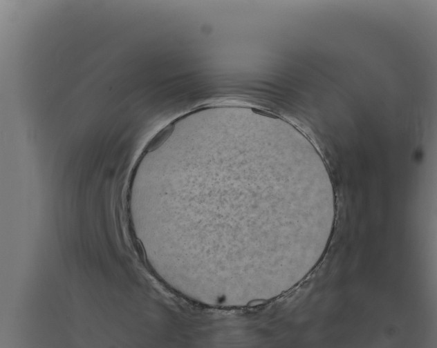 X0000094340289200711241858