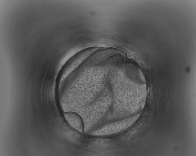 X0000094340292200711241858