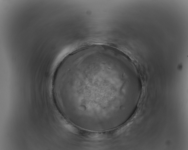 X0000094340293200711241858