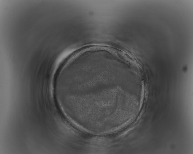 X0000094340294200711241858