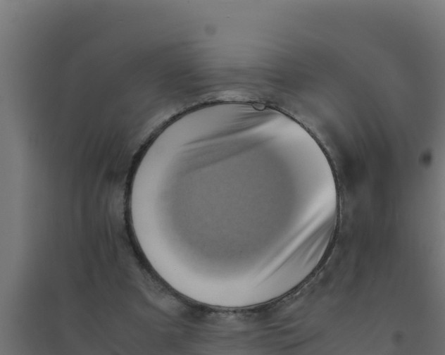 X0000094340297200711241858