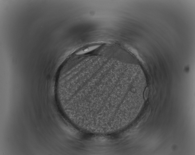 X0000094340299200711241858