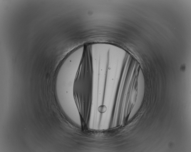 X0000094340301200711241858