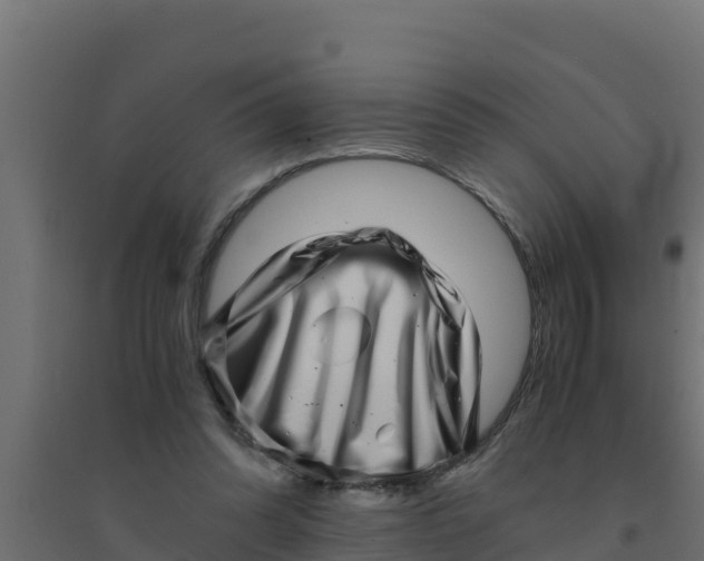 X0000094340302200711241858