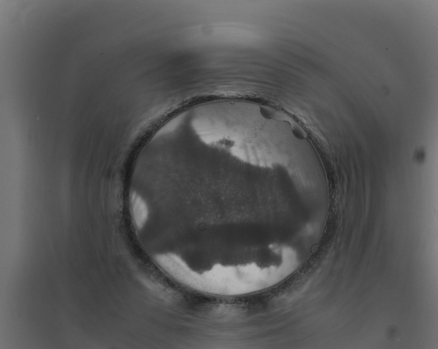 X0000094340303200711241858