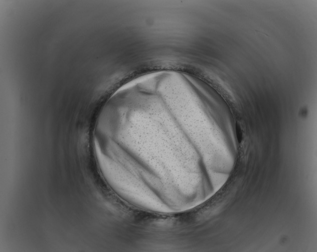 X0000094340306200711241858