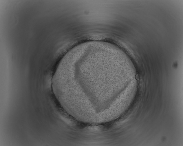 X0000094340307200711241858