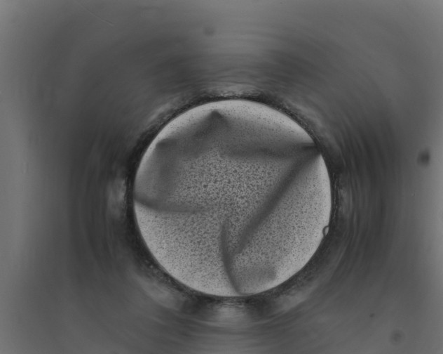 X0000094340308200711241858