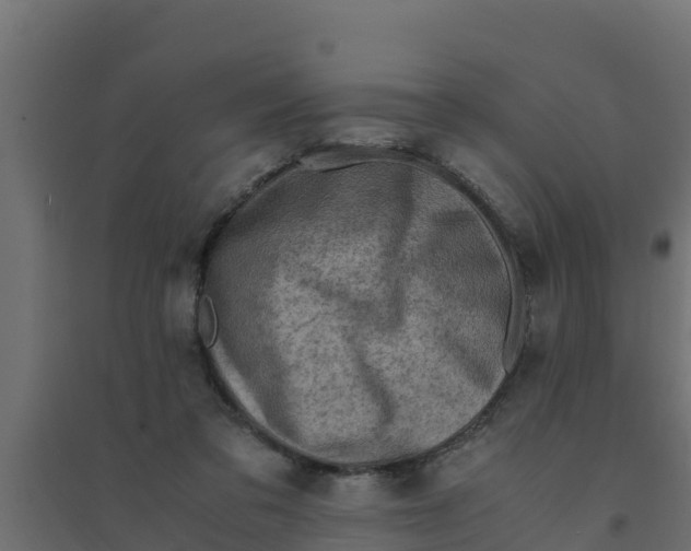 X0000094340309200711241858