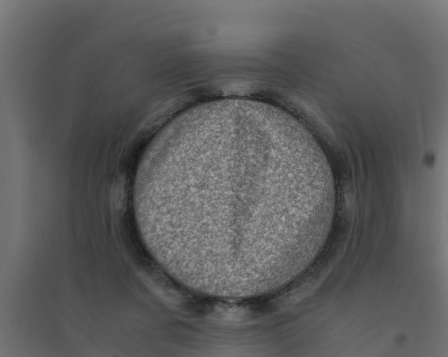 X0000094340311200711241858