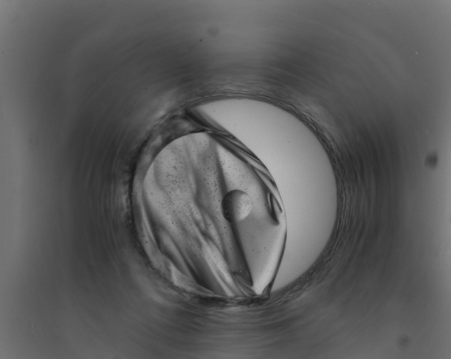 X0000094340312200711241858