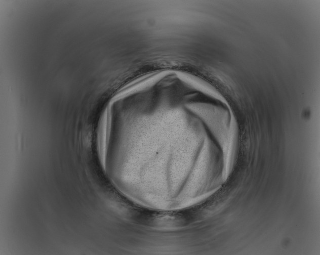 X0000094340315200711241858