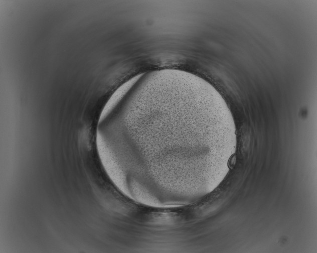 X0000094340316200711241858