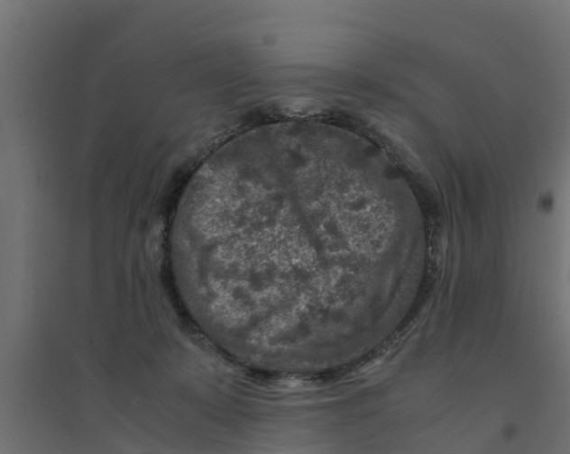 X0000094340319200711241858