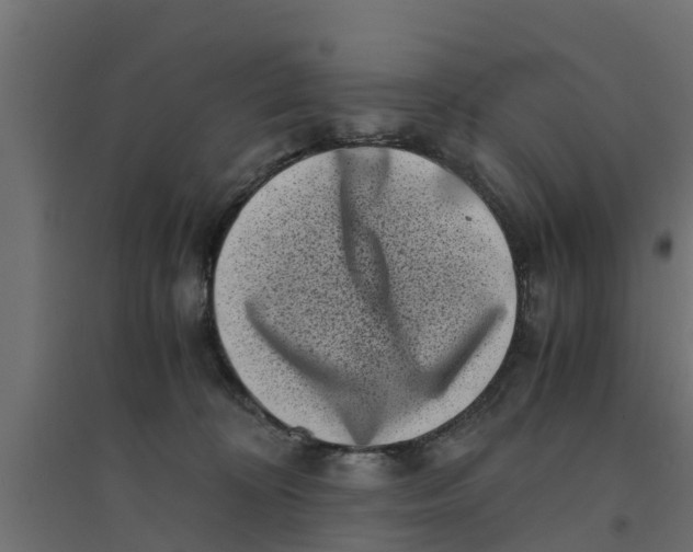 X0000094340324200711241858