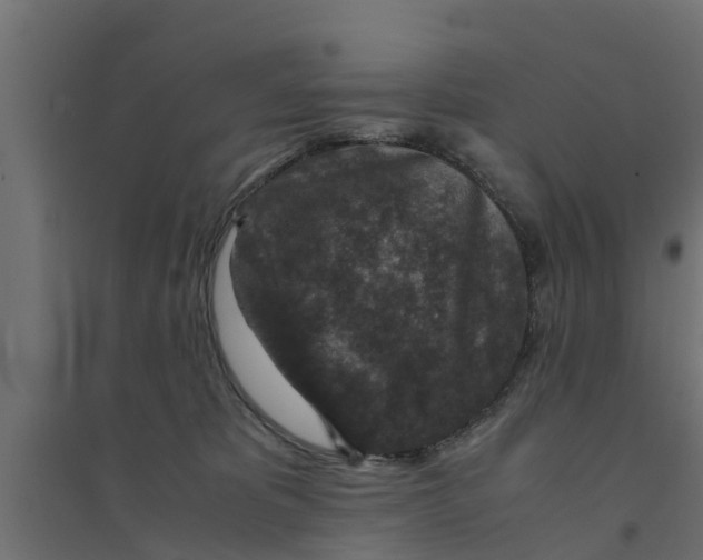 X0000094340325200711241858