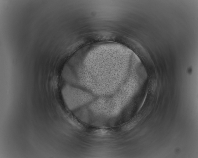 X0000094340326200711241858