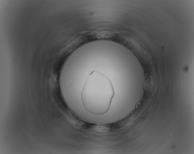 X0000094340327200711241858