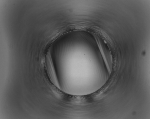 X0000094340329200711241858