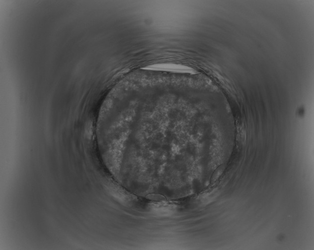 X0000094340331200711241858