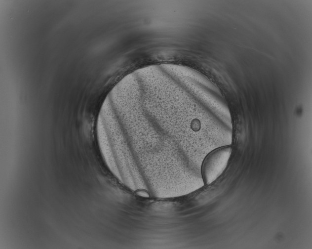 X0000094340332200711241858