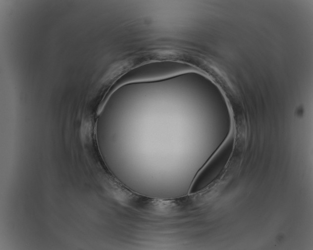 X0000094340333200711241858