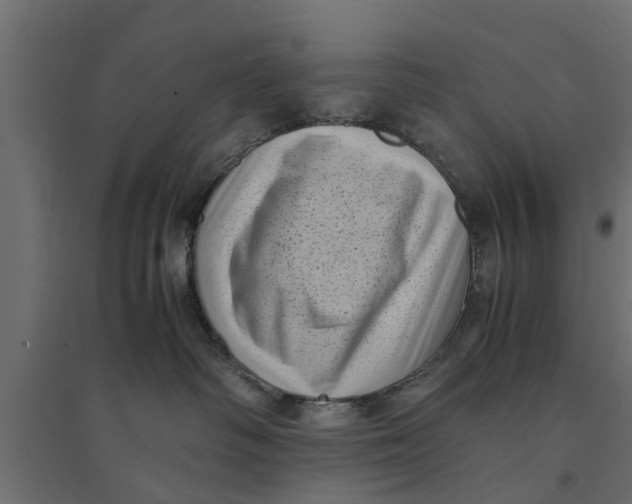 X0000094340334200711241858