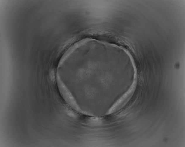 X0000094340335200711241858