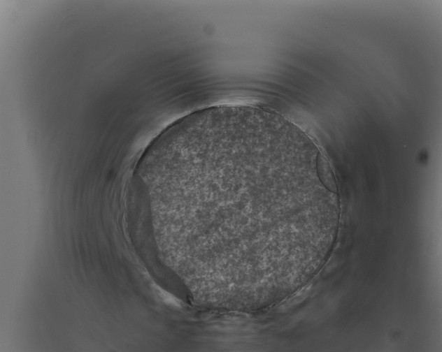 X0000094340337200711241857