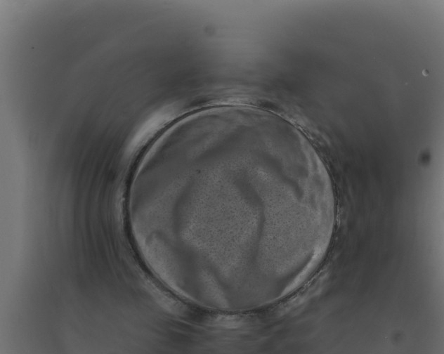 X0000094340341200711241857