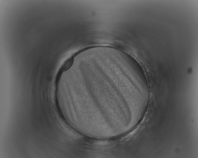 X0000094340342200711241857