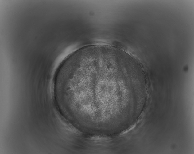 X0000094340343200711241857