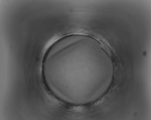 X0000094340344200711241857