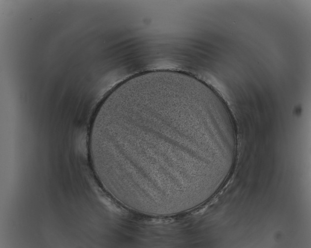 X0000094340345200711241857