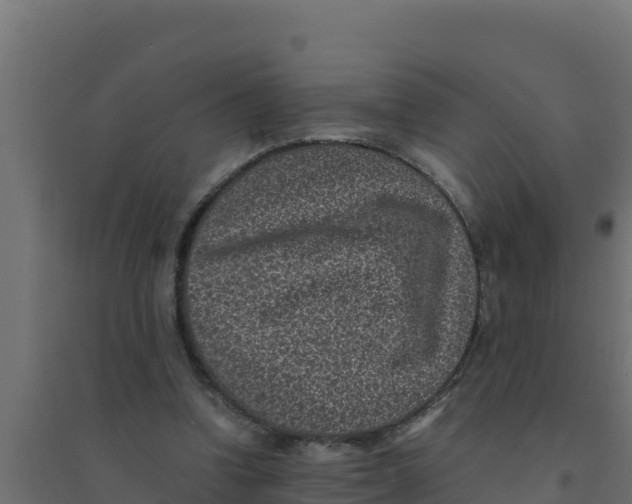 X0000094340346200711241857